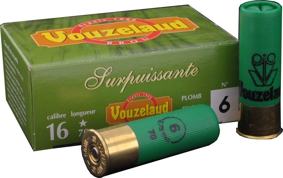 C.16 Surpuissante n° 6