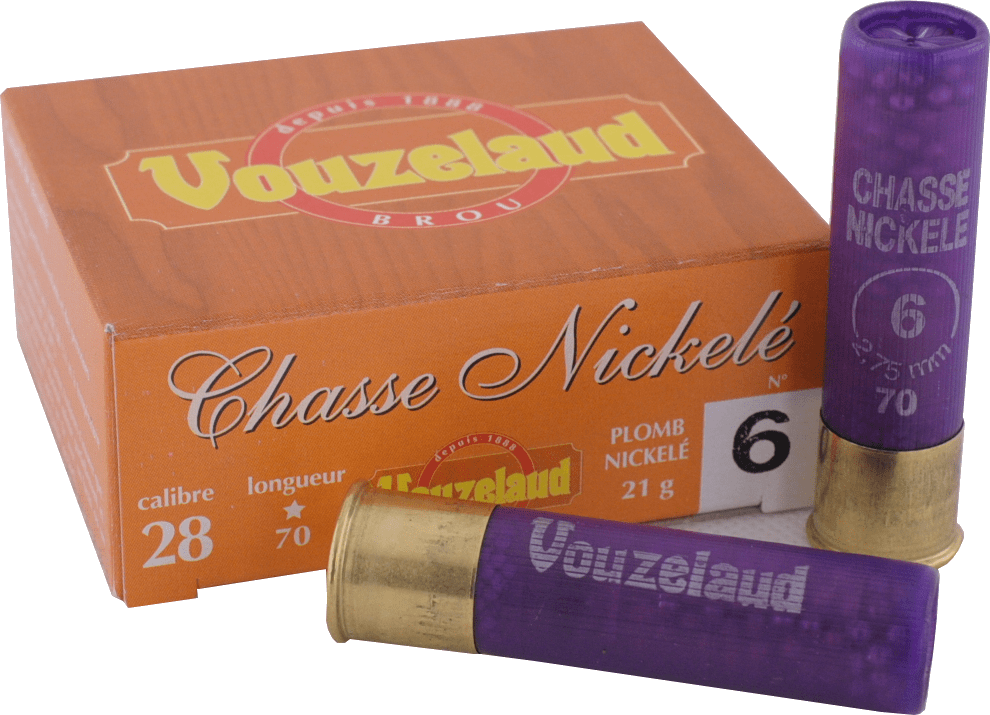 C.28 Chasse Nickelé n°6