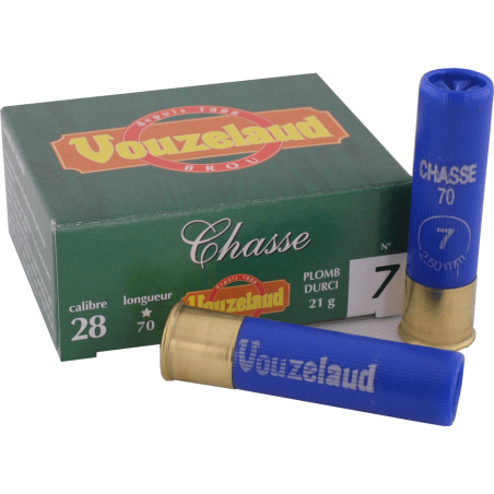 C.28 Chasse n° 6