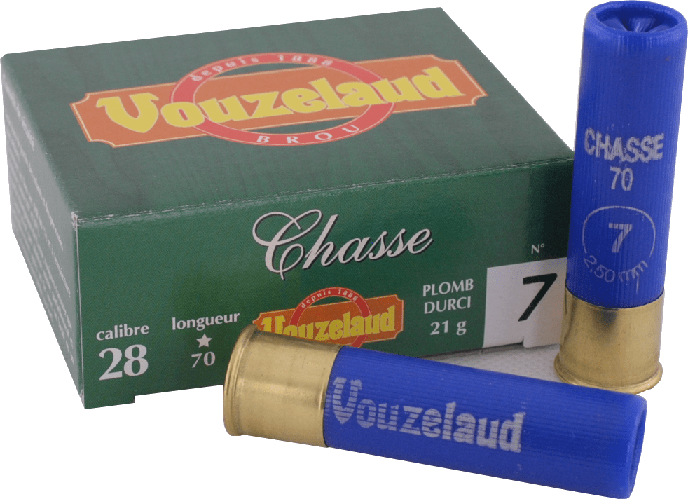 C.28 Chasse n° 6