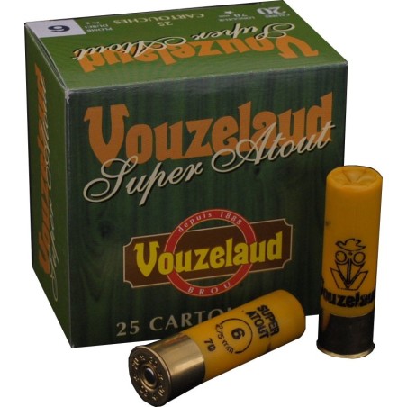 C.20 Super Atout n° 6 (25)