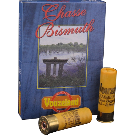 C.20 Bismuth BJ - n° 4