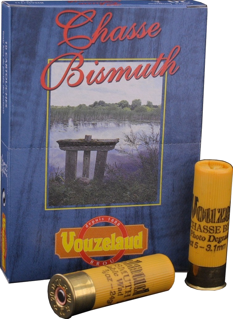 C.20 Bismuth BJ - n° 4