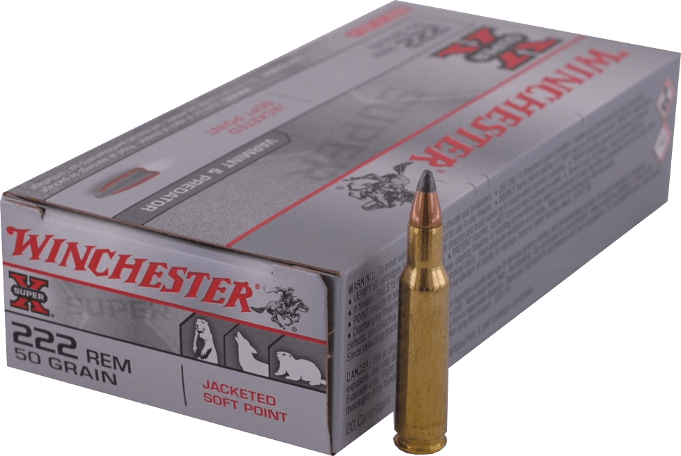 222 REMINGTON Winchester - PP 50gr