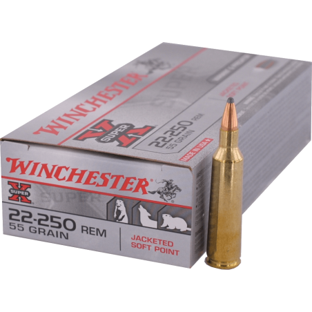 22-250 REMINGTON  Winchester - PP 55gr