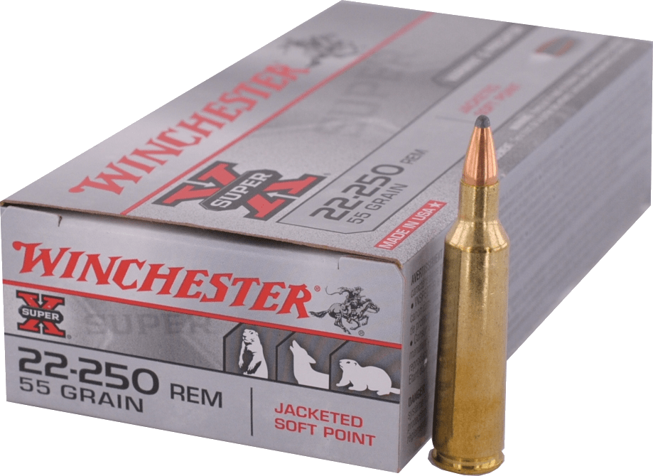 22-250 REMINGTON  Winchester - PP 55gr