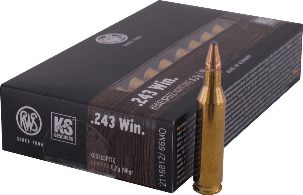  243 WINCHESTER  RWS - KS 6.20g