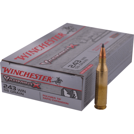  243 WINCHESTER  Winchester - VARMINT X 58gr