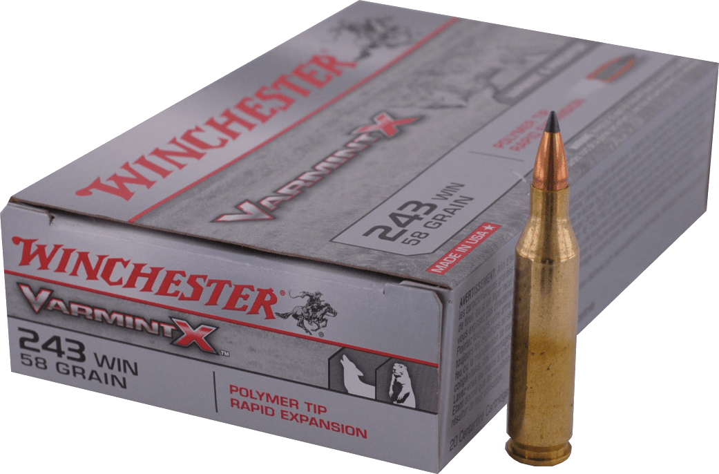  243 WINCHESTER  Winchester - VARMINT X 58gr