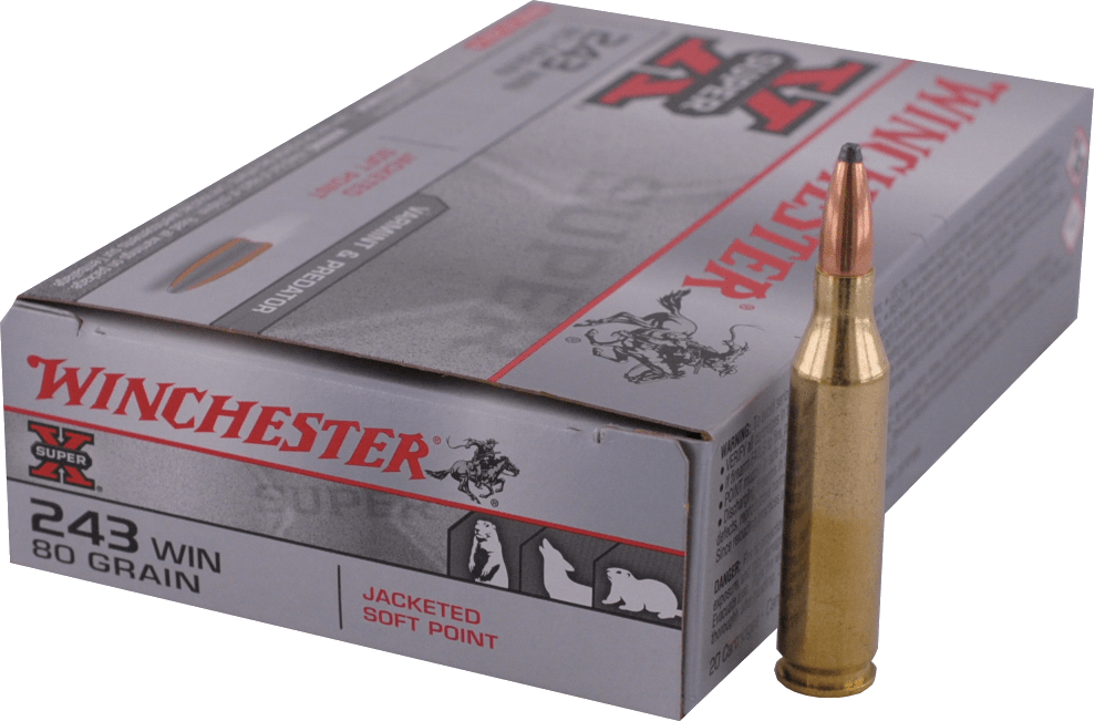  243 WINCHESTER  Winchester - PP 80gr