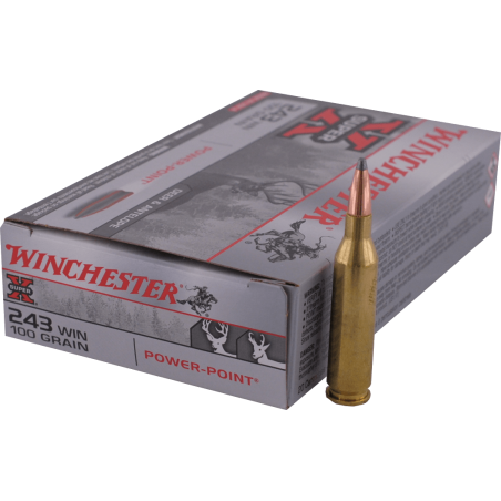  243 WINCHESTER  Winchester - PP 100gr