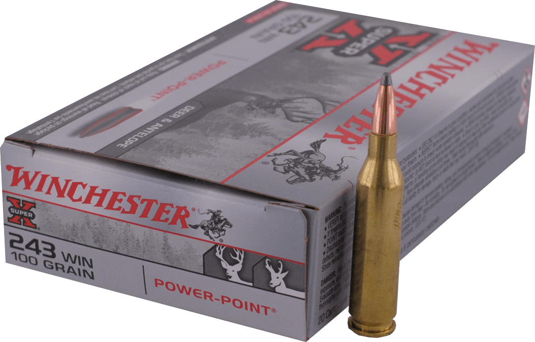  243 WINCHESTER  Winchester - PP 100gr