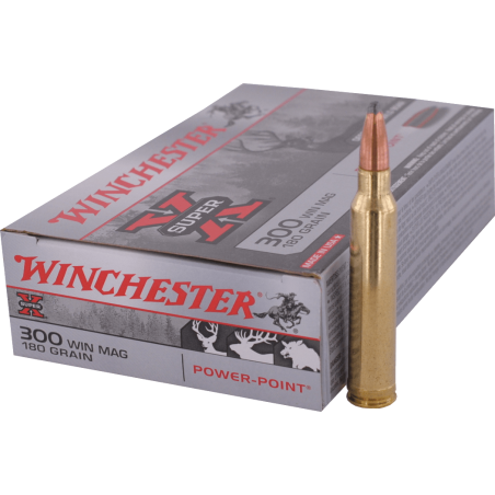 300 WM Winchester - PP 180gr