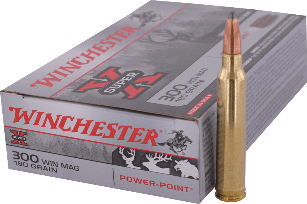 300 WM Winchester - PP 180gr