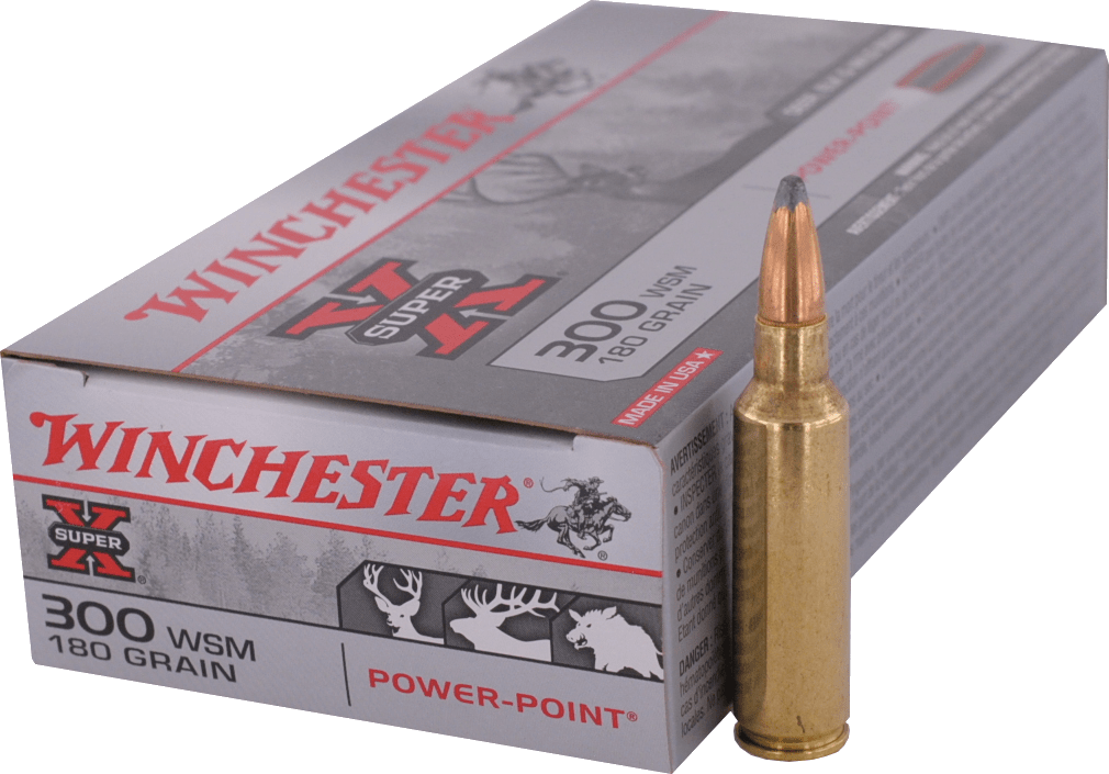 300 WSM Winchester - PP 180gr