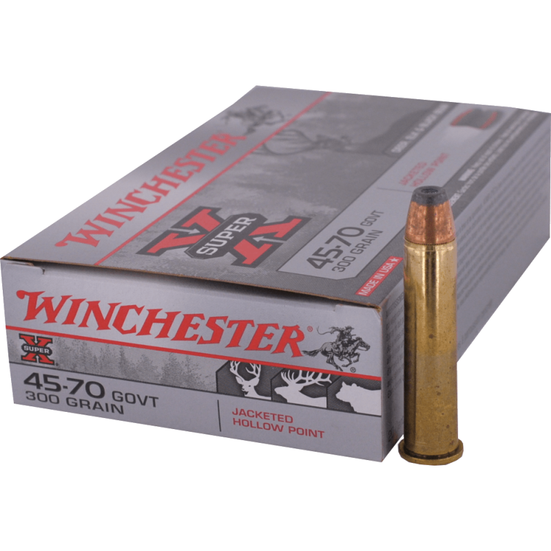 45-70 GOVERNMENT  Winchester - HP 300gr