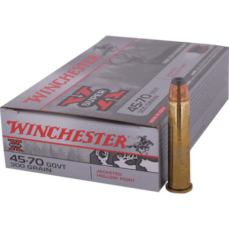 45-70 GOVERNMENT  Winchester - HP 300gr