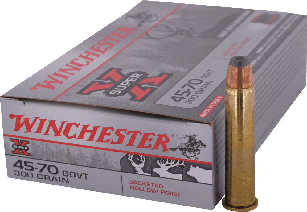 45-70 GOVERNMENT  Winchester - HP 300gr