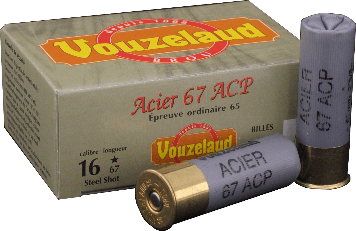 C.16 Acier ACP 67 n° 6
