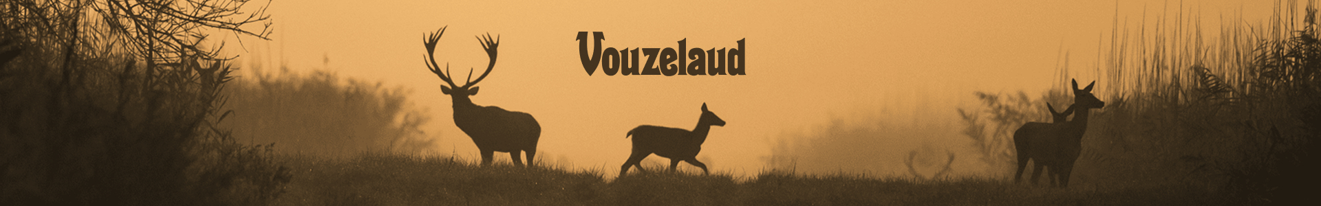 Vouzelaud