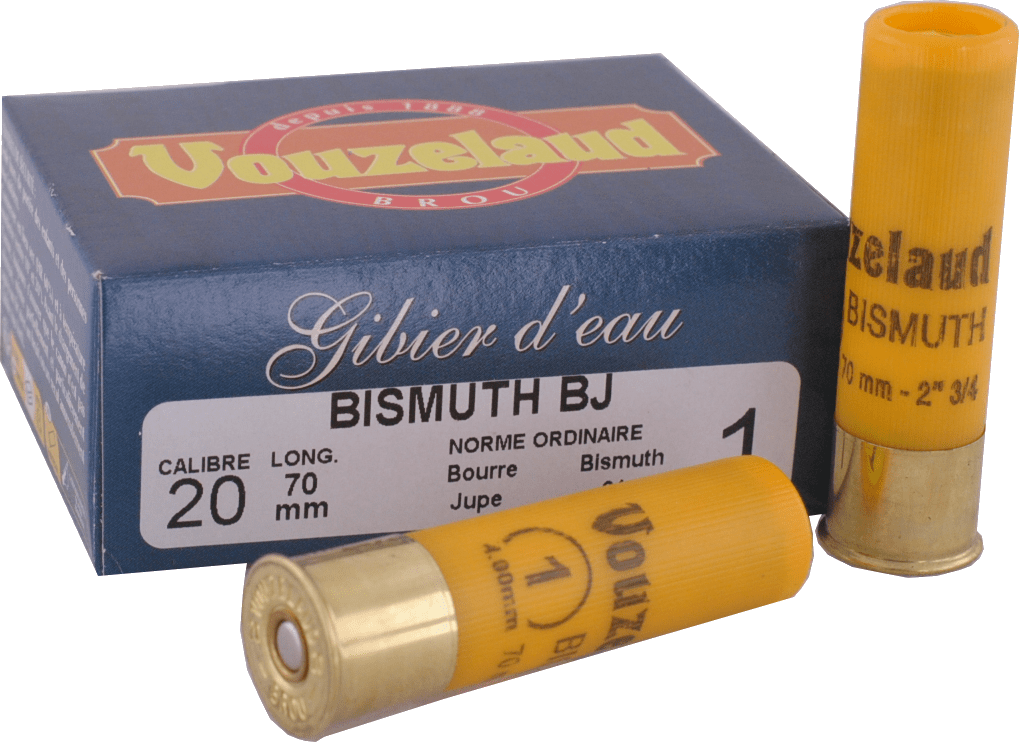 C.20 Bismuth - n° 1